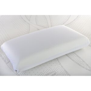 ALMOHADA PARIS LISA 72*40