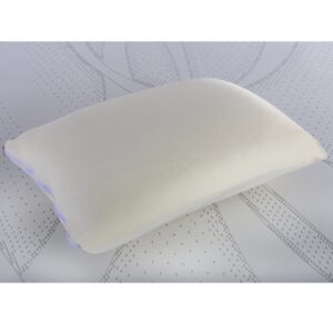 ALMOHADA REGULA NEW YORK 62*42