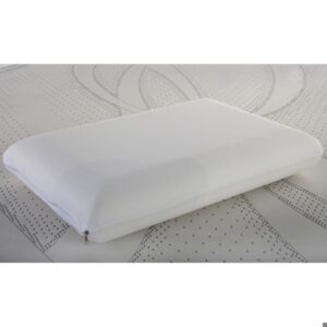 ALMOHADA AMSTERDAM LISA 62*40